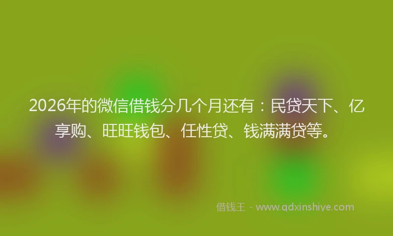 2026年的微信借钱分几个月还有：民贷天下、亿享购、旺旺钱包、任性贷、钱满满贷等。