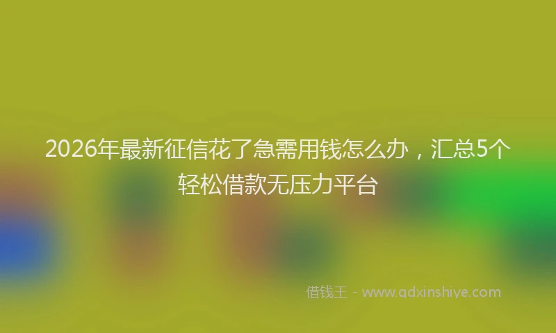 2026年最新征信花了急需用钱怎么办，汇总5个轻松借款无压力平台