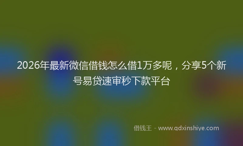2026年最新微信借钱怎么借1万多呢，分享5个新号易贷速审秒下款平台
