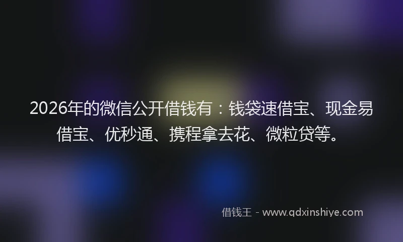 2026年的微信公开借钱有：钱袋速借宝、现金易借宝、优秒通、携程拿去花、微粒贷等。