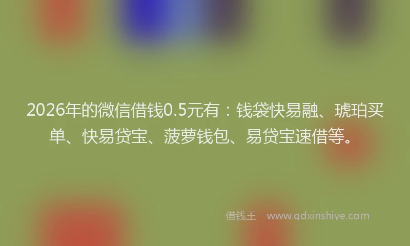 2026年的微信借钱0.5元有：钱袋快易融、琥珀买单、快易贷宝、菠萝钱包、易贷宝速借等。