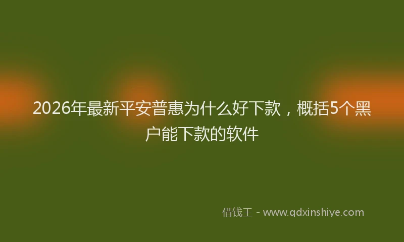 2026年最新平安普惠为什么好下款，概括5个黑户能下款的软件