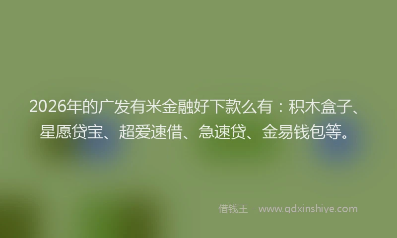 2026年的广发有米金融好下款么有：积木盒子、星愿贷宝、超爱速借、急速贷、金易钱包等。