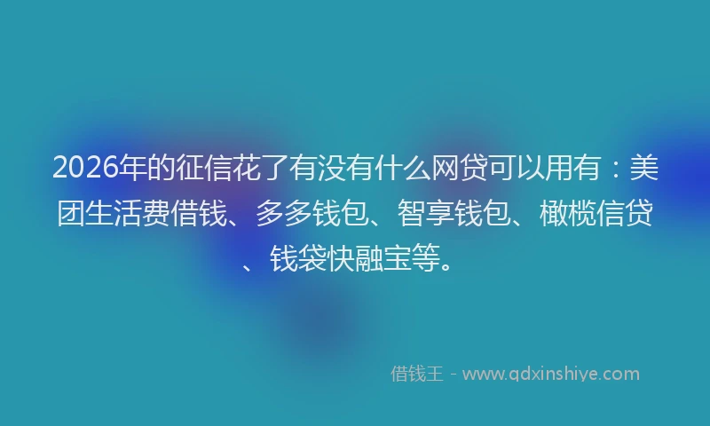 2026年的征信花了有没有什么网贷可以用有：美团生活费借钱、多多钱包、智享钱包、橄榄信贷、钱袋快融宝等。