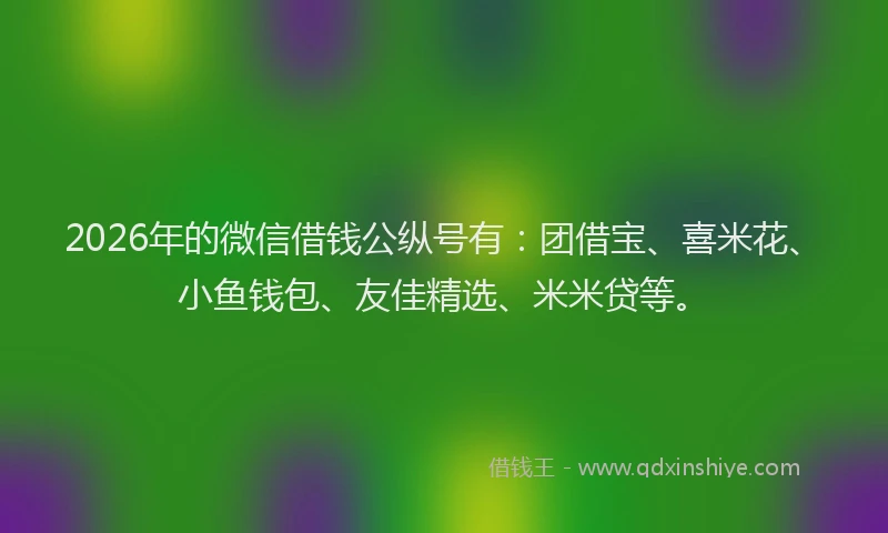 2026年的微信借钱公纵号有：团借宝、喜米花、小鱼钱包、友佳精选、米米贷等。