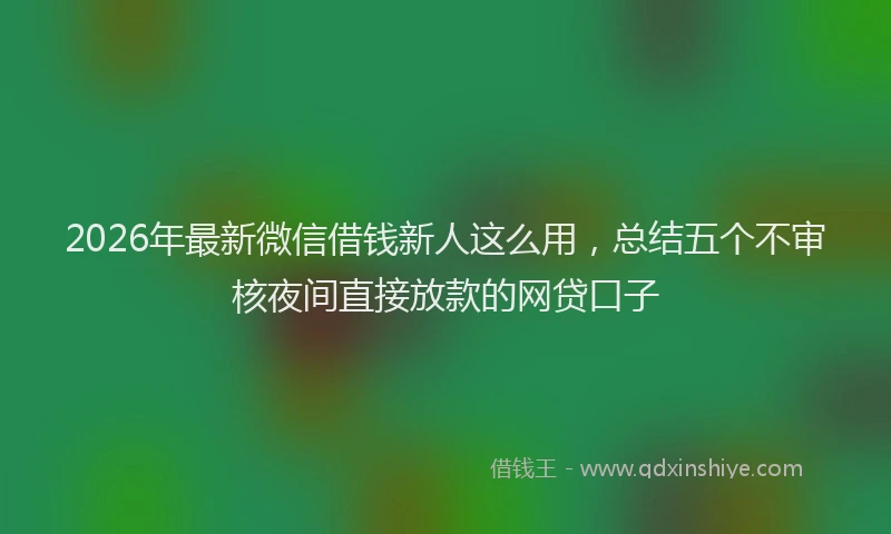 2026年最新微信借钱新人这么用，总结五个不审核夜间直接放款的网贷口子