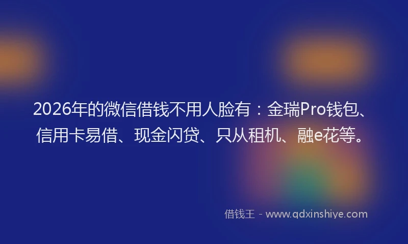 2026年的微信借钱不用人脸有：金瑞Pro钱包、信用卡易借、现金闪贷、只从租机、融e花等。
