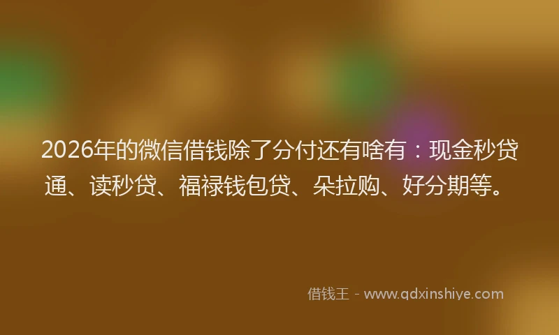 2026年的微信借钱除了分付还有啥有：现金秒贷通、读秒贷、福禄钱包贷、朵拉购、好分期等。