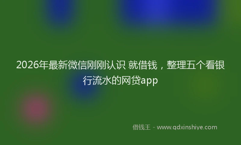 2026年最新微信刚刚认识 就借钱，整理五个看银行流水的网贷app