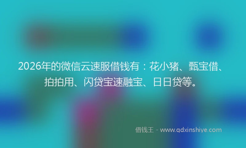 2026年的微信云速服借钱有：花小猪、甄宝借、拍拍用、闪贷宝速融宝、日日贷等。