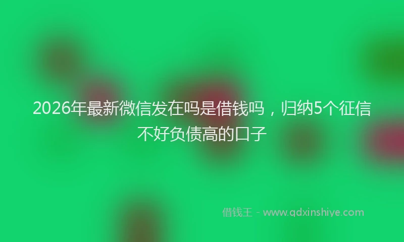 2026年最新微信发在吗是借钱吗，归纳5个征信不好负债高的口子