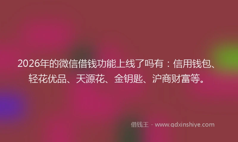 2026年的微信借钱功能上线了吗有：信用钱包、轻花优品、天源花、金钥匙、沪商财富等。