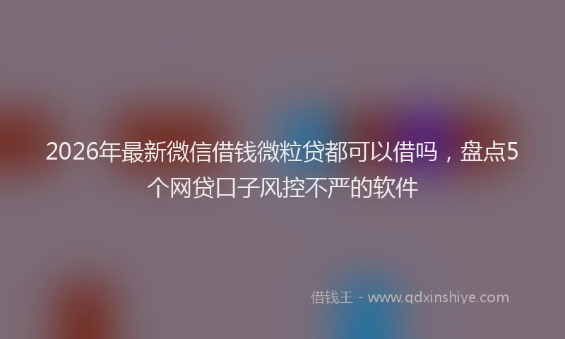 2026年最新微信借钱微粒贷都可以借吗，盘点5个网贷口子风控不严的软件