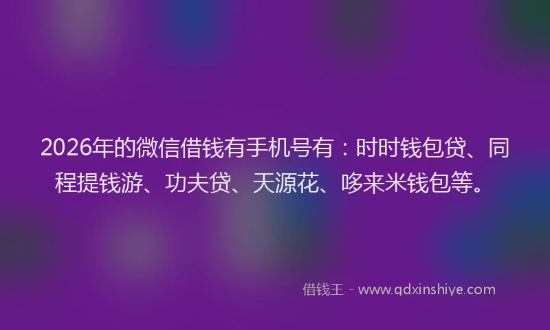2026年的微信借钱有手机号有：时时钱包贷、同程提钱游、功夫贷、天源花、哆来米钱包等。