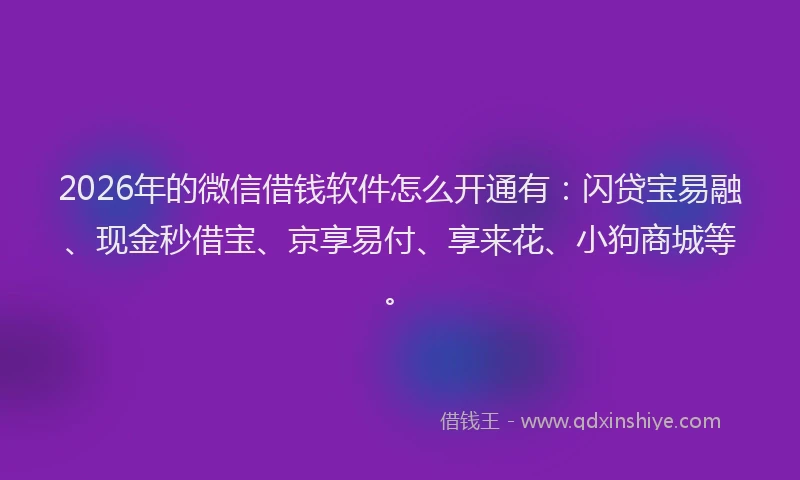 2026年的微信借钱软件怎么开通有：闪贷宝易融、现金秒借宝、京享易付、享来花、小狗商城等。