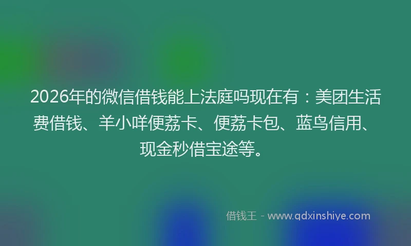 2026年的微信借钱能上法庭吗现在有：美团生活费借钱、羊小咩便荔卡、便荔卡包、蓝鸟信用、现金秒借宝途等。