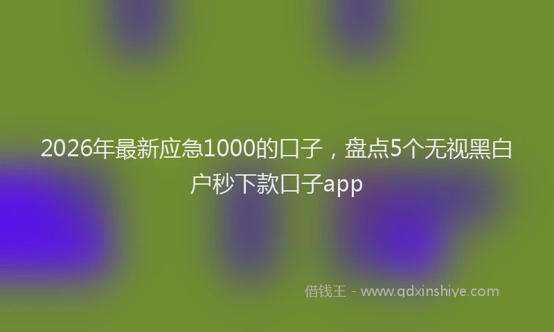 2026年最新应急1000的口子，盘点5个无视黑白户秒下款口子app
