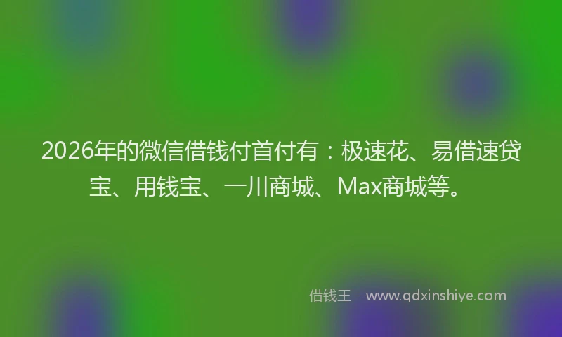 2026年的微信借钱付首付有：极速花、易借速贷宝、用钱宝、一川商城、Max商城等。