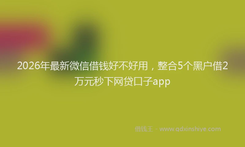 2026年最新微信借钱好不好用，整合5个黑户借2万元秒下网贷口子app