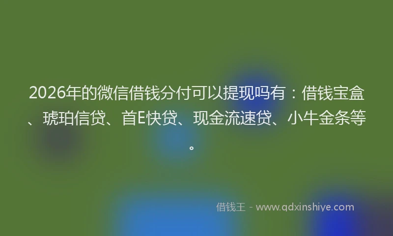 2026年的微信借钱分付可以提现吗有：借钱宝盒、琥珀信贷、首E快贷、现金流速贷、小牛金条等。