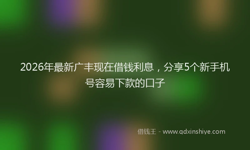 2026年最新广丰现在借钱利息，分享5个新手机号容易下款的口子