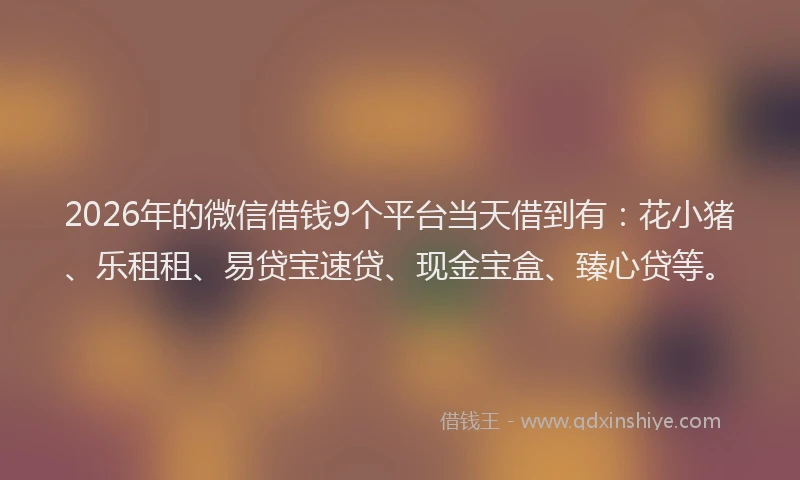 2026年的微信借钱9个平台当天借到有：花小猪、乐租租、易贷宝速贷、现金宝盒、臻心贷等。