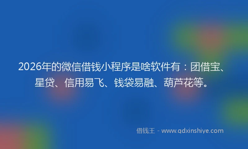 2026年的微信借钱小程序是啥软件有：团借宝、星贷、信用易飞、钱袋易融、葫芦花等。