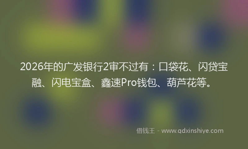 2026年的广发银行2审不过有：口袋花、闪贷宝融、闪电宝盒、鑫速Pro钱包、葫芦花等。