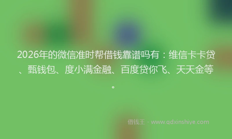 2026年的微信准时帮借钱靠谱吗有：维信卡卡贷、甄钱包、度小满金融、百度贷你飞、天天金等。