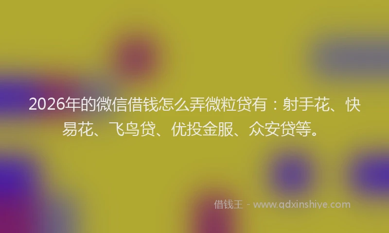 2026年的微信借钱怎么弄微粒贷有：射手花、快易花、飞鸟贷、优投金服、众安贷等。
