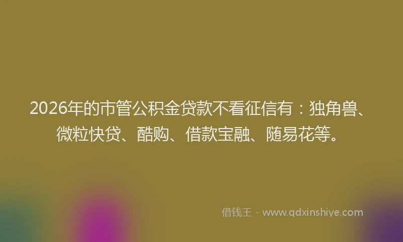 2026年的市管公积金贷款不看征信有：独角兽、微粒快贷、酷购、借款宝融、随易花等。