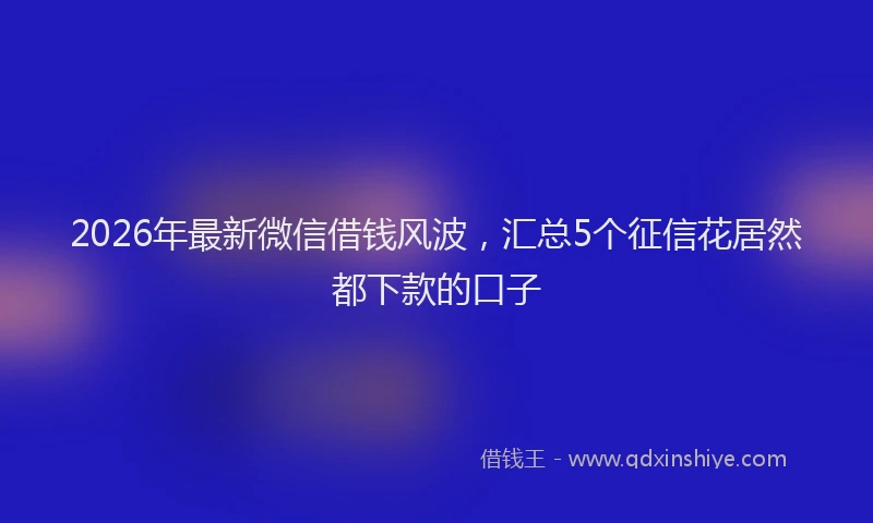 2026年最新微信借钱风波，汇总5个征信花居然都下款的口子
