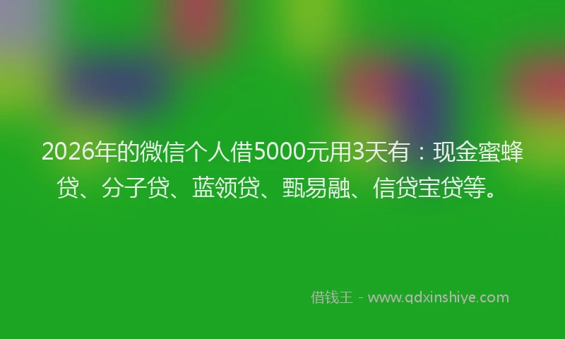 2026年的微信个人借5000元用3天有：现金蜜蜂贷、分子贷、蓝领贷、甄易融、信贷宝贷等。
