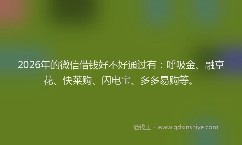 2026年的微信借钱好不好通过有：呼吸金、融享花、快莱购、闪电宝、多多易购等。