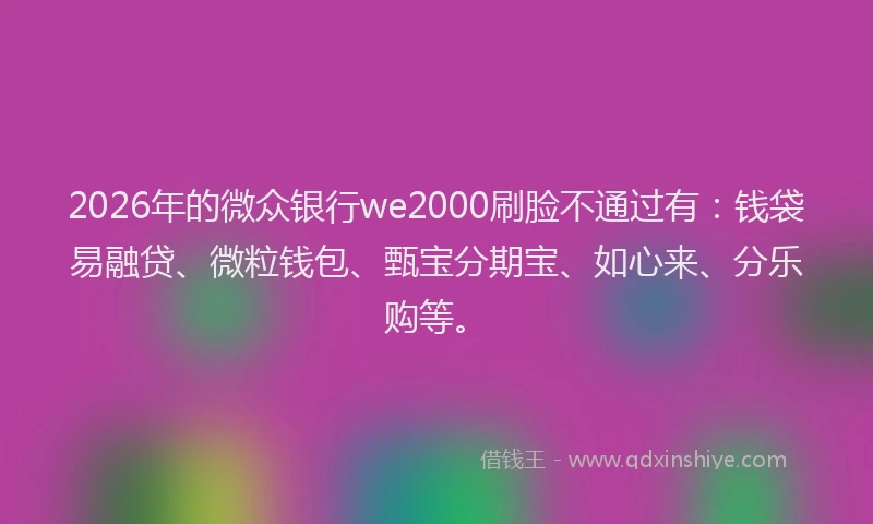 2026年的微众银行we2000刷脸不通过有：钱袋易融贷、微粒钱包、甄宝分期宝、如心来、分乐购等。