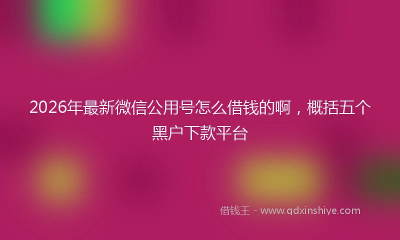 2026年最新微信公用号怎么借钱的啊，概括五个黑户下款平台