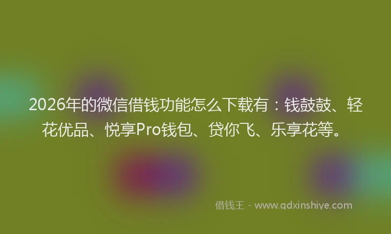 2026年的微信借钱功能怎么下载有：钱鼓鼓、轻花优品、悦享Pro钱包、贷你飞、乐享花等。