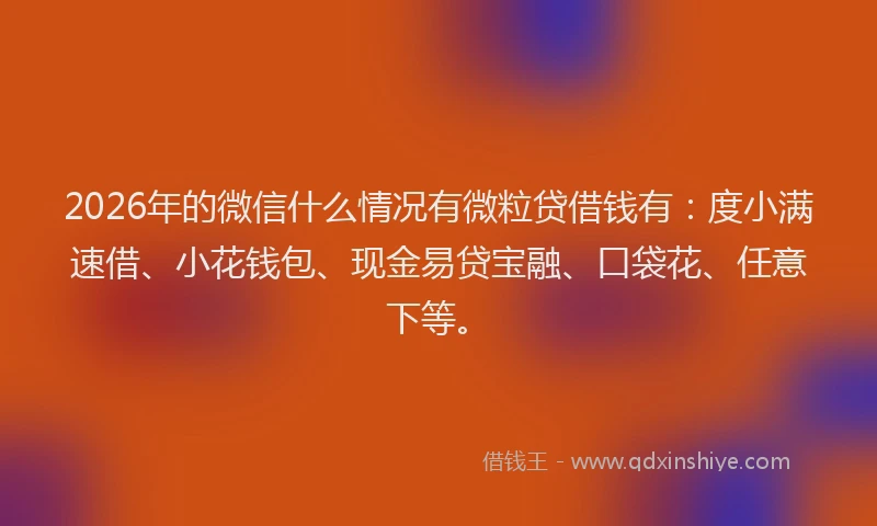 2026年的微信什么情况有微粒贷借钱有：度小满速借、小花钱包、现金易贷宝融、口袋花、任意下等。