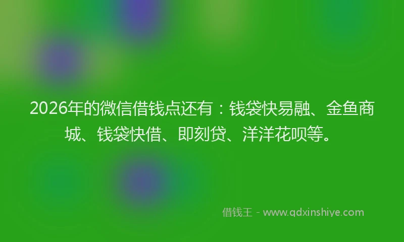 2026年的微信借钱点还有：钱袋快易融、金鱼商城、钱袋快借、即刻贷、洋洋花呗等。
