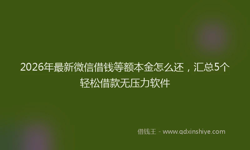 2026年最新微信借钱等额本金怎么还，汇总5个轻松借款无压力软件