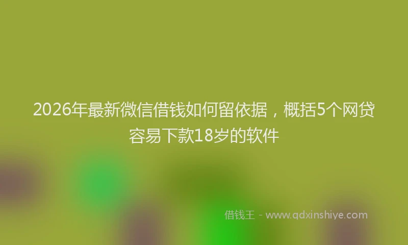 2026年最新微信借钱如何留依据，概括5个网贷容易下款18岁的软件