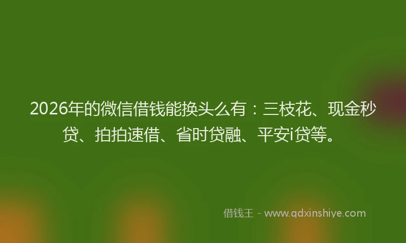 2026年的微信借钱能换头么有：三枝花、现金秒贷、拍拍速借、省时贷融、平安i贷等。