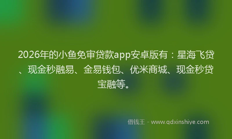 2026年的小鱼免审贷款app安卓版有：星海飞贷、现金秒融易、金易钱包、优米商城、现金秒贷宝融等。