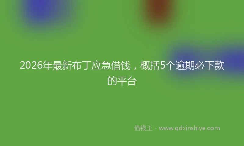 2026年最新布丁应急借钱，概括5个逾期必下款的平台