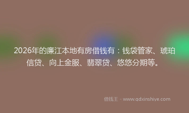 2026年的廉江本地有房借钱有：钱袋管家、琥珀信贷、向上金服、翡翠贷、悠悠分期等。