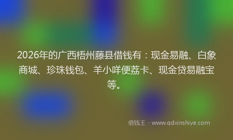 2026年的广西梧州藤县借钱有：现金易融、白象商城、珍珠钱包、羊小咩便荔卡、现金贷易融宝等。
