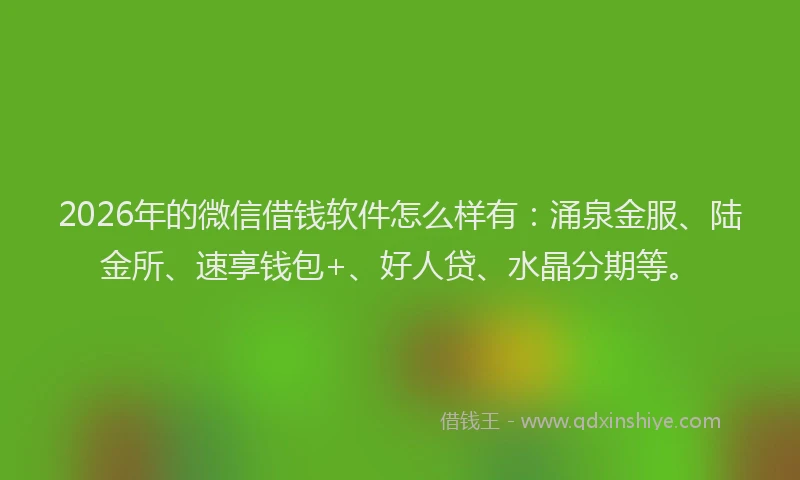 2026年的微信借钱软件怎么样有：涌泉金服、陆金所、速享钱包+、好人贷、水晶分期等。