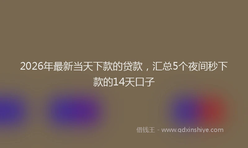 2026年最新当天下款的贷款，汇总5个夜间秒下款的14天口子