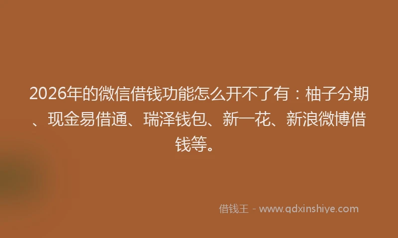 2026年的微信借钱功能怎么开不了有：柚子分期、现金易借通、瑞泽钱包、新一花、新浪微博借钱等。