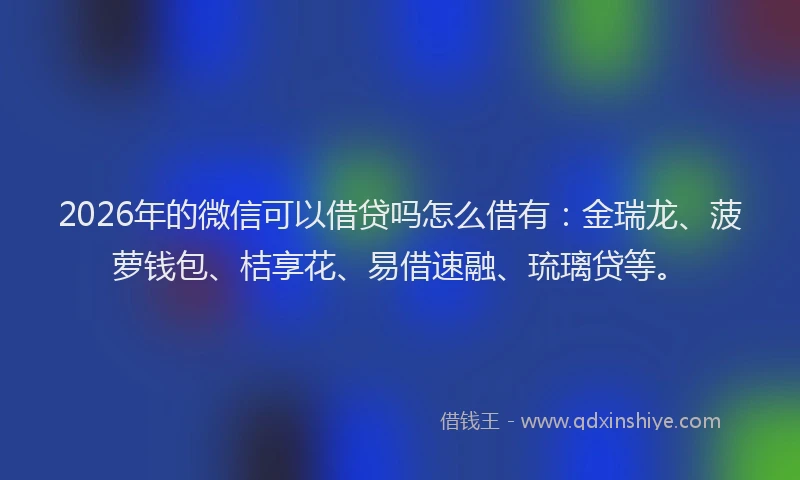 2026年的微信可以借贷吗怎么借有：金瑞龙、菠萝钱包、桔享花、易借速融、琉璃贷等。